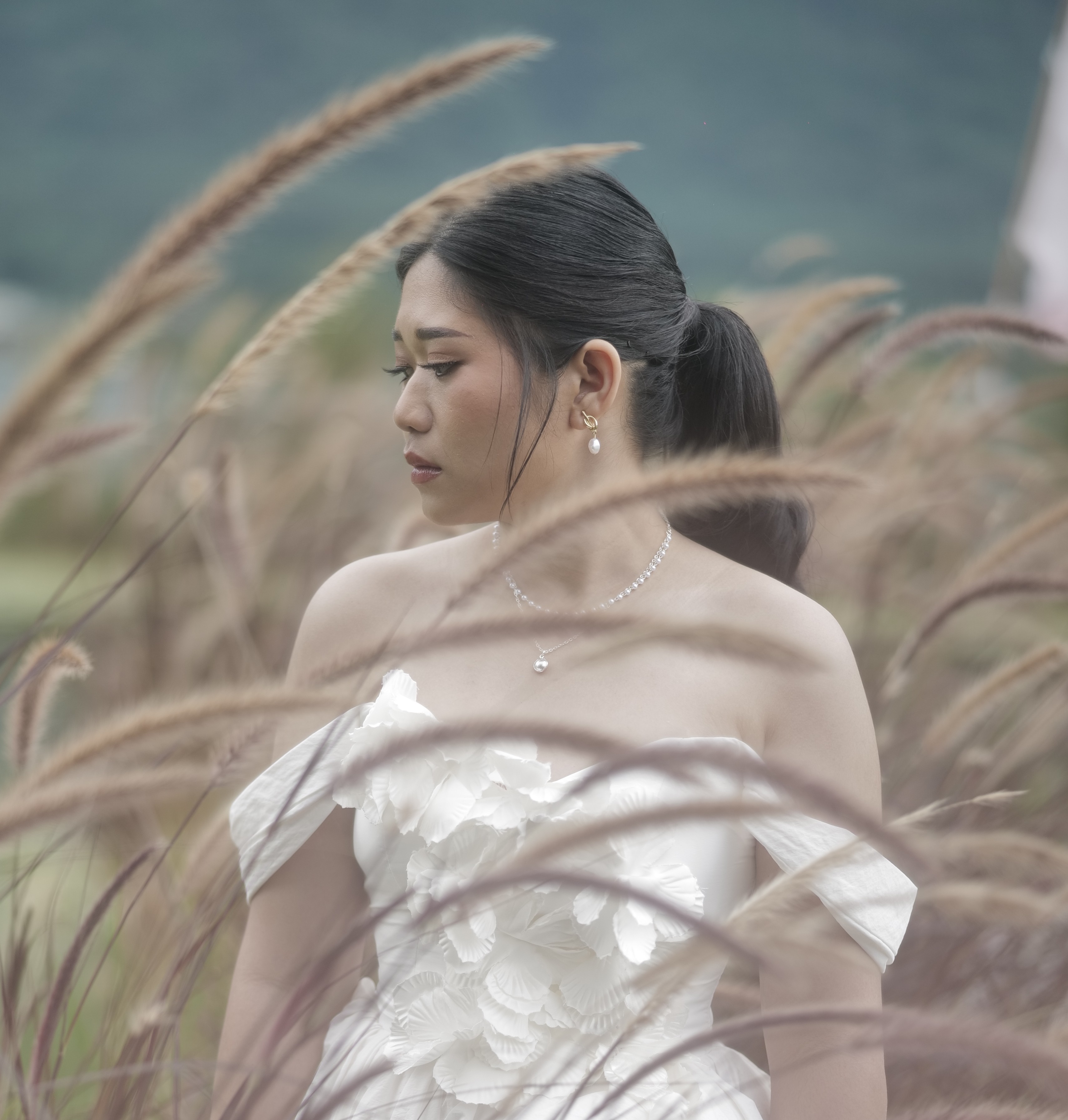 Priscilla photo